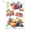 Plum, plums, apple, apples, pear, pears, lemon, lemons, lemon, fruit, R397